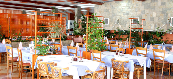 Hotell Aurora/ Podgora 5 Hotell Aurora/ Podgora 5